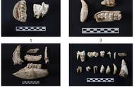 追溯9000年的玉文化起源：揭秘十大考古新发现