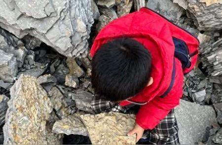 山东5岁男孩偶然发现5亿年前古生物化石，引发热议！