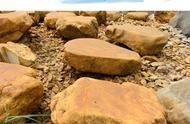 甘肃黄蜡石在园林景观中的广泛应用