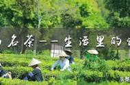 探索中国名茶：江西茶叶地图与盘点
