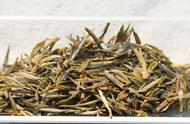 六大茶类中的四大种类，十大名茶的数量位居第一，为何安徽茶的表现如此出色？