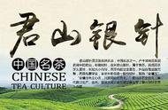 揭秘君山银针：中国十大名茶之一的起源和卓越品质