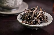 两百多年的武夷陈茶，是否还能品尝？