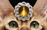揭秘猫眼石真相：你真的了解它吗？