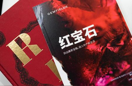 解读中国中产阶级：红宝石消费新潮流