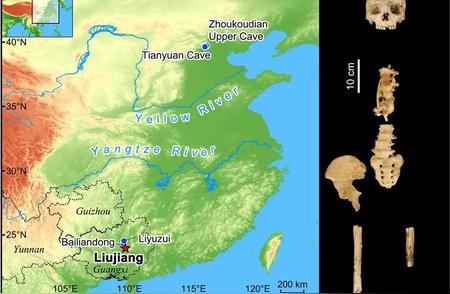揭秘柳江人化石：距今3.3万年至2.3万年的研究新突破