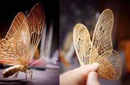 竹子雕塑：日本艺术家的昆虫作品，质感惊人、薄如蝉翼