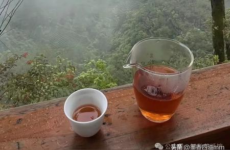 掌握绿茶的冲泡技巧，轻松成为茶艺高手
