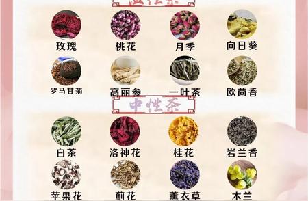 生活百科：常见茶的功效与茶性解析