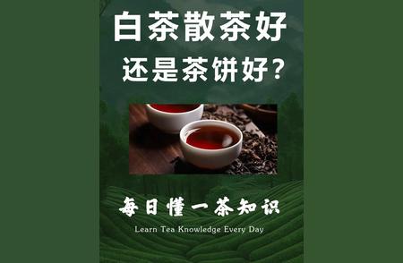 探秘白茶：每日一茶，尽享茶韵