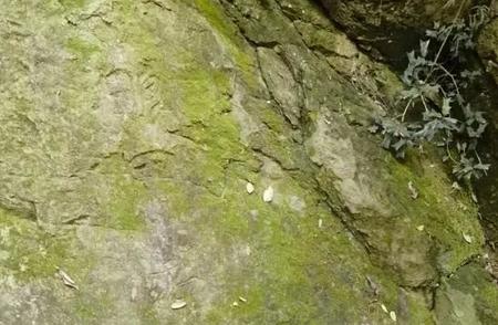 重磅发现：天马山摩崖石刻揭秘南宋历史