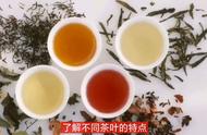 品味人生：如何判断是否懂得品茶？一篇带你深入了解茶文化！