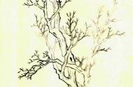 《芥子园画传》树谱导读：解锁古画中的树木秘籍
