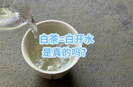 白茶味道淡？可能是这3大原因造成的