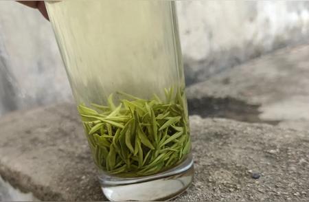 信阳毛尖茶冲泡技巧：沸水对茶叶的影响揭秘