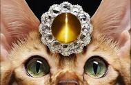 探寻奇异宝石：揭秘猫眼石与变石的神秘面纱