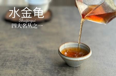 武夷岩茶老茶客的困惑：老丛水仙与肉桂的品质解析