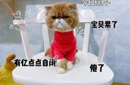 加菲猫