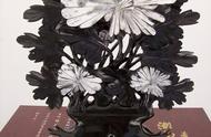稀世瑰宝：菊花石的独特魅力