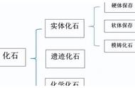 我找到了化石，但事实并非如此