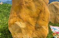 中国奇石之乡：黄蜡石——大型卧式招牌刻字石