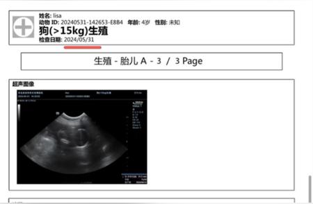 小狗寄养期间怀孕引发争议，宠物店管理需加强