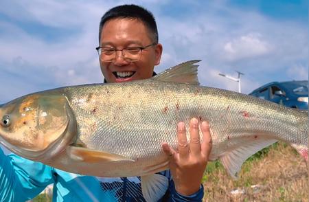 探钓池州九华河，偶遇巨无霸大白鲢！