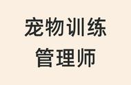 宠物训练管理师证书考取全攻略：报考条件、流程与证书价值解析