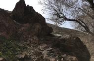 石人沟之旅：在山上发现的硅化木
