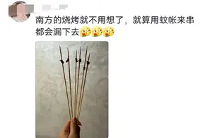 独家揭秘：东北大姐的羊肉串秘制技巧