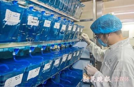 高温挑战下：上海实验动物研究如何为斑马鱼筑起25℃避风港？