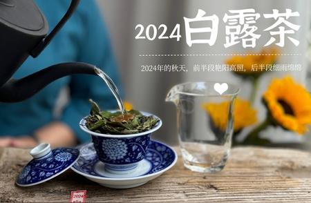 国庆节后喝茶新篇章：调整状态三大秘诀揭晓！