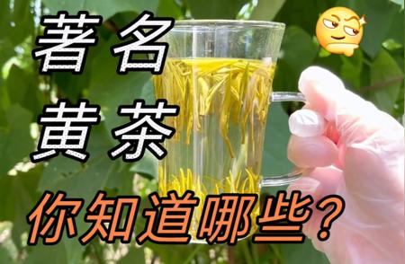 中国黄茶的种类与特色：探寻最著名的十大黄茶