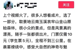 哀牢山拍写真成争议焦点：开放景区还是保护区？罚款规定出炉！