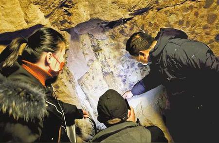 缙云山惊现1.6亿年前木化石，揭开古生物之谜