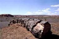 奇台硅化木国家沙漠公园：大自然的奇迹