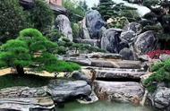 泰山石的自然之美：清新的天性展现