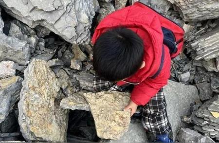 山东5岁男孩的惊人发现：小山丘上的数亿年前古生物化石！