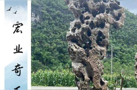太湖石：赏石人的心头好，江西太湖石窟窿石厂家的瑰宝
