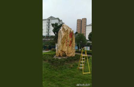 武汉设计师巧用地大石打造草花景观