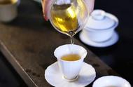 你能分辨出普洱茶的七种口感吗？
