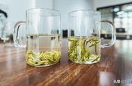 揭秘绿茶：儿茶素的神奇功效与抗癌力量