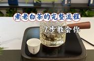 揭秘煮老白茶：7个步骤，新手也能轻松掌握