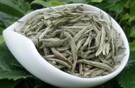 白毫银针：一种珍贵的茶叶品种