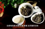 花茶、白茶、乌龙茶与紧压茶：科普解析