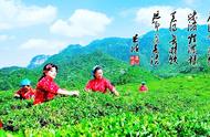 庐山云雾茶：中国十大名茶中的瑰宝