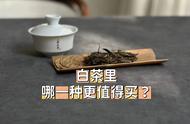 白毫银针、白牡丹、贡眉、寿眉：白茶购买指南