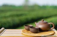 洞庭碧螺春：中国十大名茶之一，你知道它的产地吗？