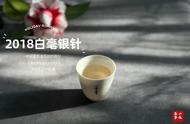 如何正确保存白毫银针？4个细节让你轻松收获好白茶