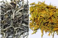 黄茶化普洱茶的品质究竟如何？